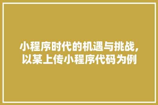 小程序时代的机遇与挑战,以某上传小程序代码为例 小程序时代的机遇与挑战,以某上传小程序代码为例 必应SEO