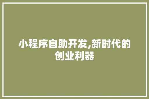 小程序自助开发,新时代的创业利器