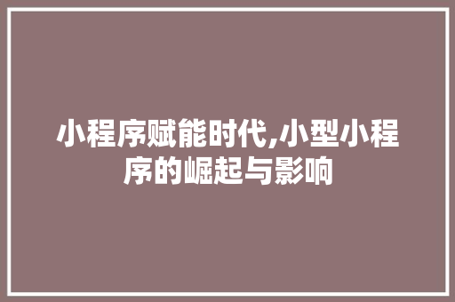 小程序赋能时代,小型小程序的崛起与影响