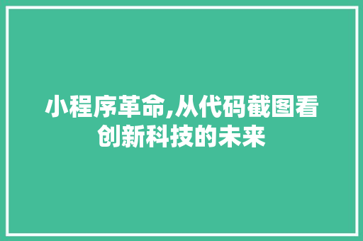 小程序革命,从代码截图看创新科技的未来 小程序革命,从代码截图看创新科技的未来 神马SEO