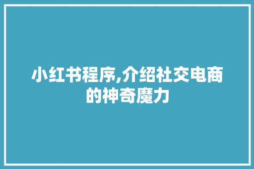 小红书程序,介绍社交电商的神奇魔力 小红书程序,介绍社交电商的神奇魔力 必应SEO