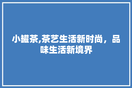 小罐茶,茶艺生活新时尚，品味生活新境界 小罐茶,茶艺生活新时尚，品味生活新境界 百度SEO