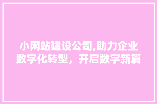 小网站建设公司,助力企业数字化转型，开启数字新篇章 小网站建设公司,助力企业数字化转型，开启数字新篇章 搜狗SEO