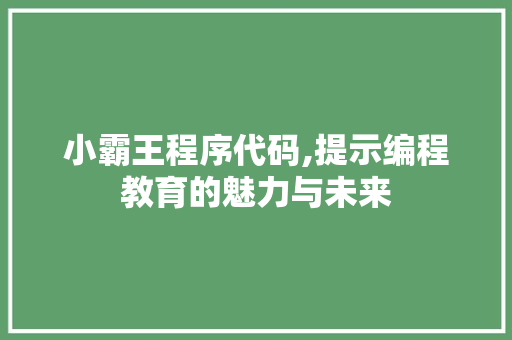 小霸王程序代码,提示编程教育的魅力与未来 小霸王程序代码,提示编程教育的魅力与未来 SEO关键词