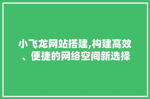小飞龙网站搭建,构建高效、便捷的网络空间新选择 小飞龙网站搭建,构建高效、便捷的网络空间新选择 百度SEO
