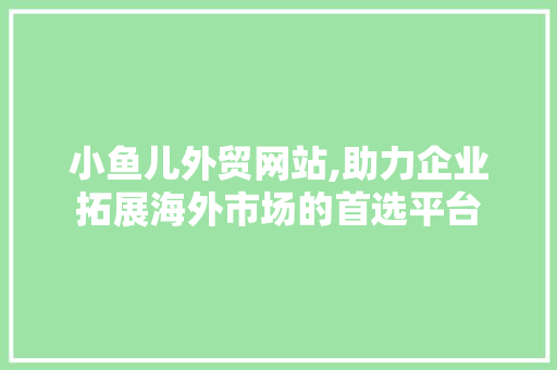 小鱼儿外贸网站,助力企业拓展海外市场的首选平台 百度SEO