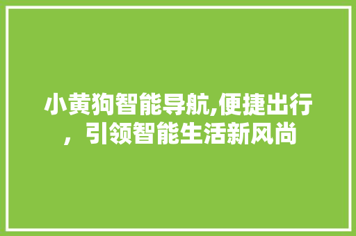 小黄狗智能导航,便捷出行，引领智能生活新风尚 小黄狗智能导航,便捷出行，引领智能生活新风尚 神马SEO