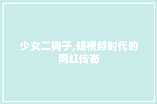 少女二狗子,短视频时代的网红传奇 少女二狗子,短视频时代的网红传奇 网站建设公司