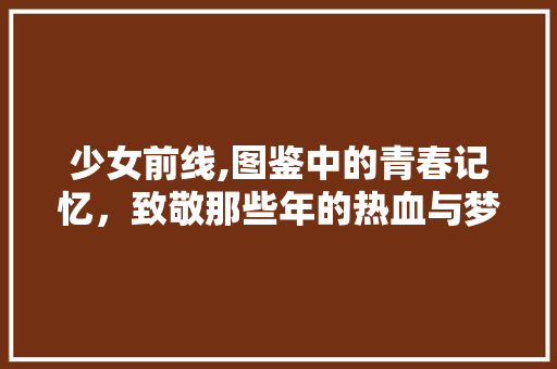 少女前线,图鉴中的青春记忆，致敬那些年的热血与梦想 少女前线,图鉴中的青春记忆，致敬那些年的热血与梦想 网站建设公司