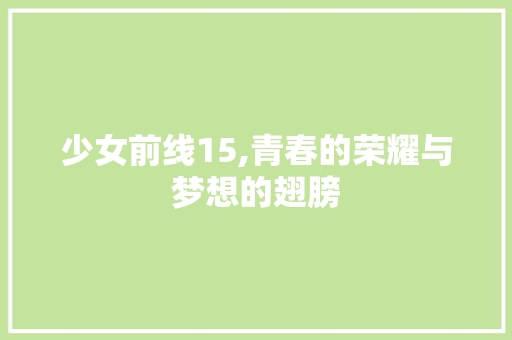 少女前线15,青春的荣耀与梦想的翅膀
