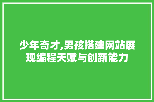 少年奇才,男孩搭建网站展现编程天赋与创新能力 少年奇才,男孩搭建网站展现编程天赋与创新能力 神马SEO