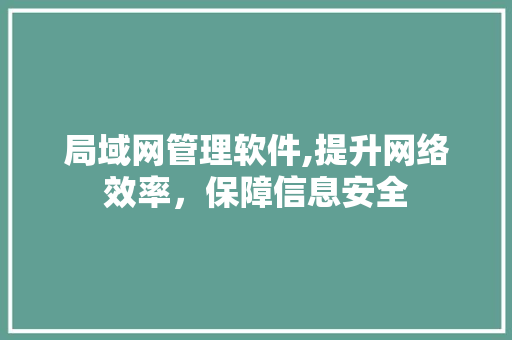 局域网管理软件,提升网络效率，保障信息安全 局域网管理软件,提升网络效率，保障信息安全 SEO关键词