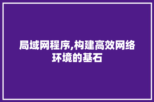 局域网程序,构建高效网络环境的基石 局域网程序,构建高效网络环境的基石 SEO关键词