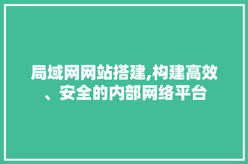 局域网网站搭建,构建高效、安全的内部网络平台 局域网网站搭建,构建高效、安全的内部网络平台 必应SEO