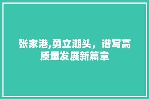 张家港,勇立潮头，谱写高质量发展新篇章 张家港,勇立潮头，谱写高质量发展新篇章 网站建设公司