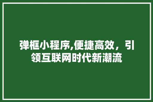 弹框小程序,便捷高效，引领互联网时代新潮流 弹框小程序,便捷高效，引领互联网时代新潮流 百度SEO