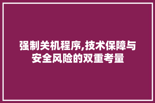 强制关机程序,技术保障与安全风险的双重考量