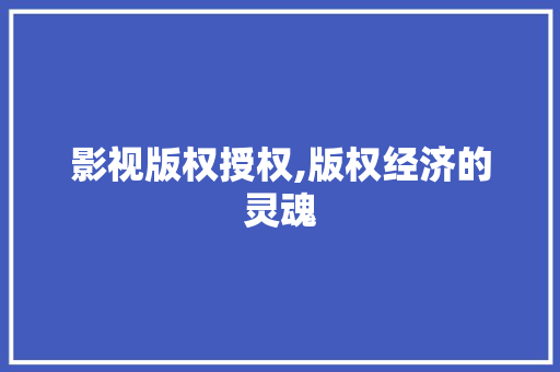 影视版权授权,版权经济的灵魂 影视版权授权,版权经济的灵魂 百度SEO