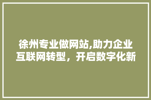 徐州专业做网站,助力企业互联网转型，开启数字化新篇章 徐州专业做网站,助力企业互联网转型，开启数字化新篇章 百度SEO