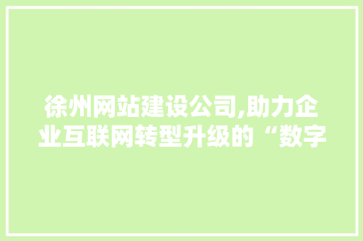 徐州网站建设公司,助力企业互联网转型升级的“数字领航者” 徐州网站建设公司,助力企业互联网转型升级的“数字领航者” 百度SEO