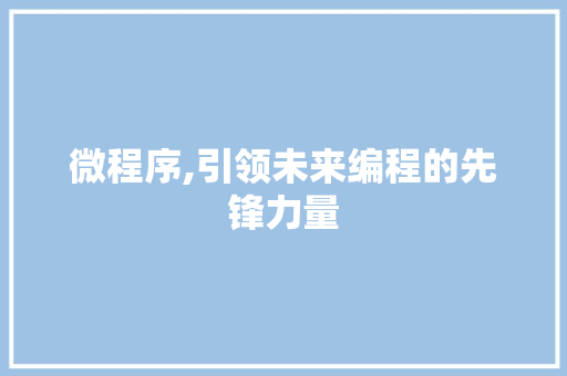 微程序,引领未来编程的先锋力量 微程序,引领未来编程的先锋力量 网站建设公司