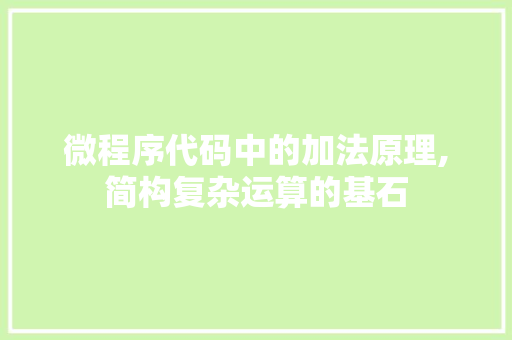 微程序代码中的加法原理,简构复杂运算的基石 微程序代码中的加法原理,简构复杂运算的基石 SEO关键词