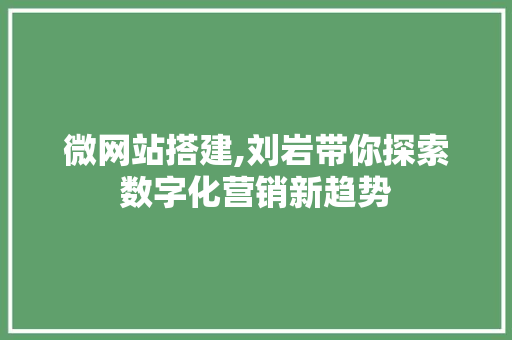 微网站搭建,刘岩带你探索数字化营销新趋势