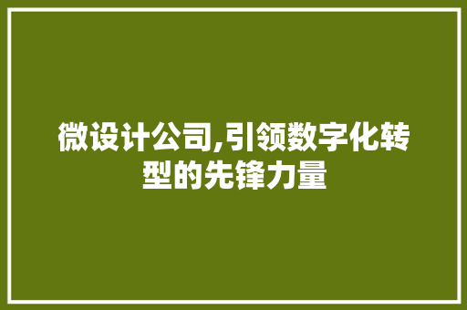 微设计公司,引领数字化转型的先锋力量 微设计公司,引领数字化转型的先锋力量 必应SEO