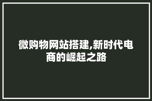 微购物网站搭建,新时代电商的崛起之路 微购物网站搭建,新时代电商的崛起之路 神马SEO