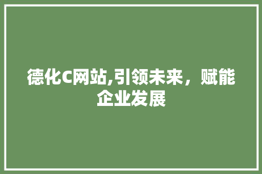 德化C网站,引领未来，赋能企业发展