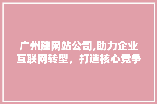 广州建网站公司,助力企业互联网转型，打造核心竞争力 广州建网站公司,助力企业互联网转型，打造核心竞争力 网站建设公司