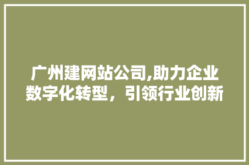 广州建网站公司,助力企业数字化转型，引领行业创新潮流 广州建网站公司,助力企业数字化转型，引领行业创新潮流 神马SEO