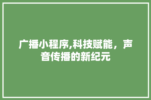 广播小程序,科技赋能，声音传播的新纪元 广播小程序,科技赋能，声音传播的新纪元 神马SEO