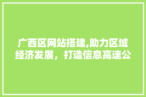 广西区网站搭建,助力区域经济发展，打造信息高速公路