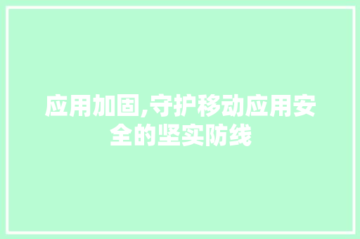 应用加固,守护移动应用安全的坚实防线 应用加固,守护移动应用安全的坚实防线 网站建设公司