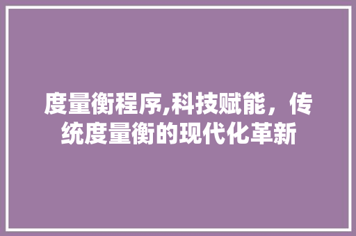 度量衡程序,科技赋能，传统度量衡的现代化革新 度量衡程序,科技赋能，传统度量衡的现代化革新 SEO关键词