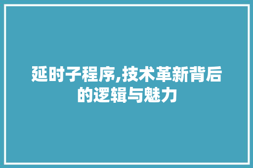 延时子程序,技术革新背后的逻辑与魅力 延时子程序,技术革新背后的逻辑与魅力 网站建设公司