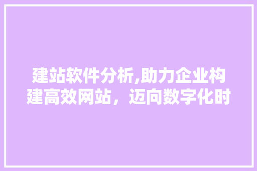 建站软件分析,助力企业构建高效网站，迈向数字化时代 建站软件分析,助力企业构建高效网站，迈向数字化时代 必应SEO