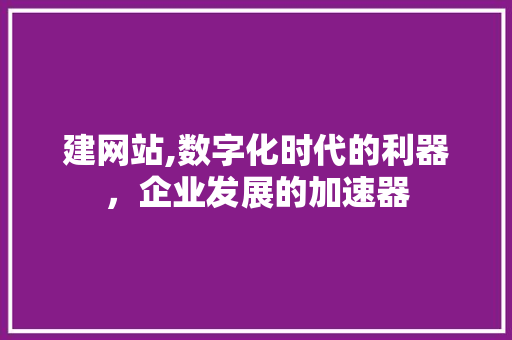 建网站,数字化时代的利器，企业发展的加速器 建网站,数字化时代的利器，企业发展的加速器 网站建设公司