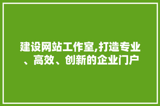 建设网站工作室,打造专业、高效、创新的企业门户 建设网站工作室,打造专业、高效、创新的企业门户 必应SEO