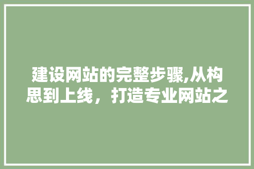 建设网站的完整步骤,从构思到上线，打造专业网站之路 建设网站的完整步骤,从构思到上线，打造专业网站之路 必应SEO