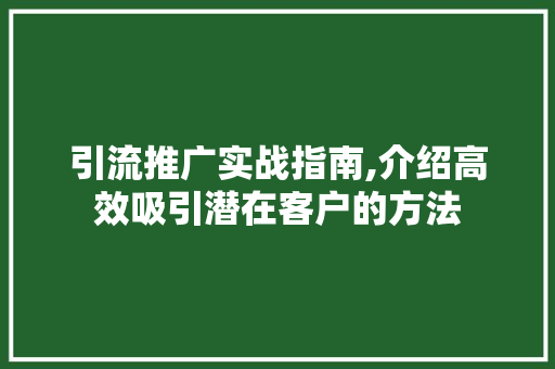 引流推广实战指南,介绍高效吸引潜在客户的方法 引流推广实战指南,介绍高效吸引潜在客户的方法 必应SEO