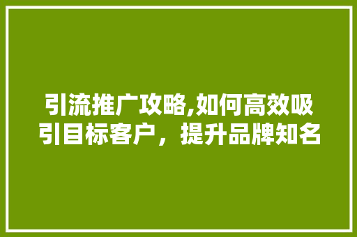 引流推广攻略,如何高效吸引目标客户，提升品牌知名度