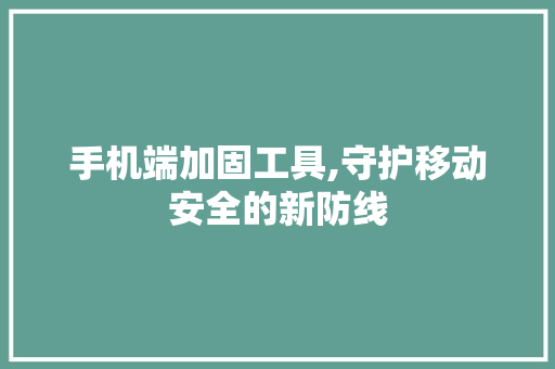 手机端加固工具,守护移动安全的新防线