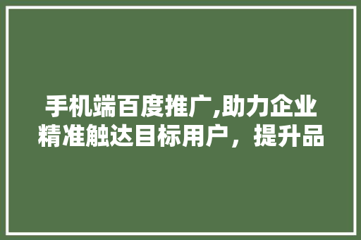 手机端百度推广,助力企业精准触达目标用户，提升品牌影响力