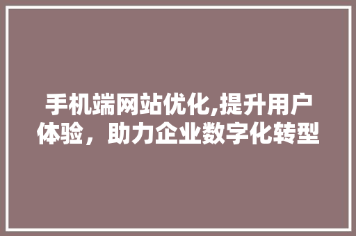 手机端网站优化,提升用户体验，助力企业数字化转型