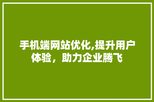手机端网站优化,提升用户体验，助力企业腾飞 手机端网站优化,提升用户体验，助力企业腾飞 神马SEO