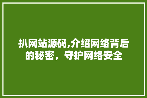 扒网站源码,介绍网络背后的秘密，守护网络安全
