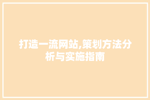 打造一流网站,策划方法分析与实施指南