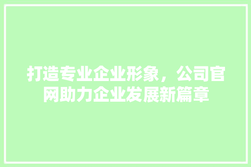 打造专业企业形象，公司官网助力企业发展新篇章